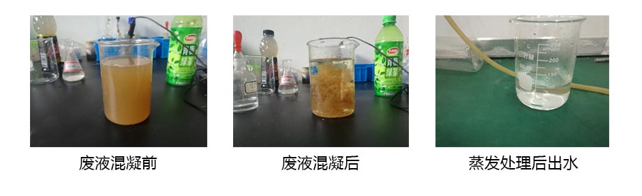 ̎ (2).jpg
